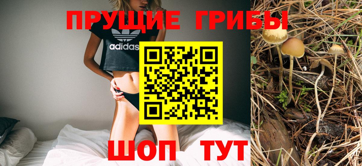 Псилоцибиновые грибы Cubensis  Псилоцибиновые грибы MAGIC MUSHROOMS  Сланцы  Вход с VPN 